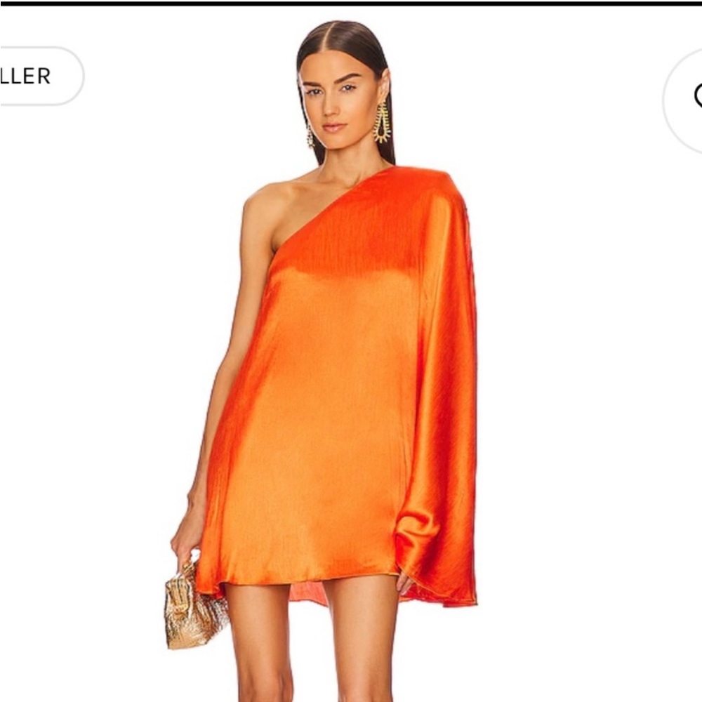 Revolve mini dress